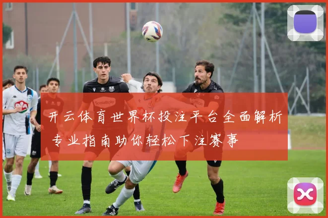 开云体育世界杯投注平台全面解析 专业指南助你轻松下注赛事