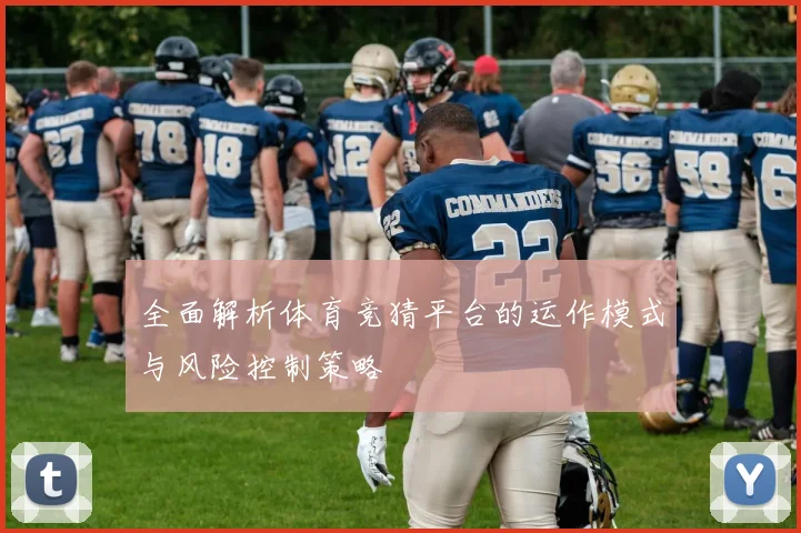全面解析体育竞猜平台的运作模式与风险控制策略