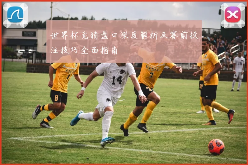世界杯竞猜盘口深度解析及赛前投注技巧全面指南