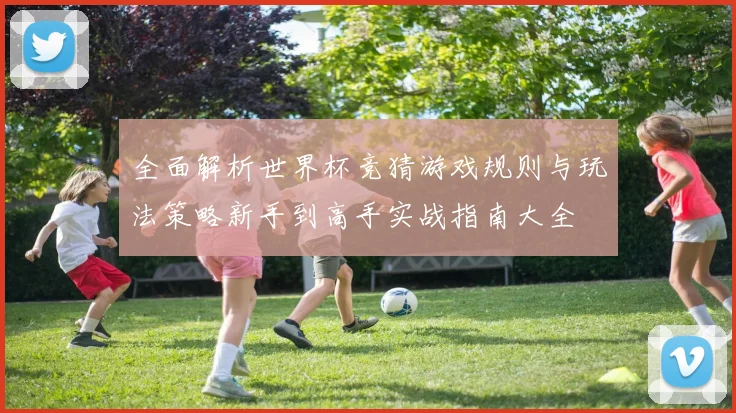 全面解析世界杯竞猜游戏规则与玩法策略新手到高手实战指南大全