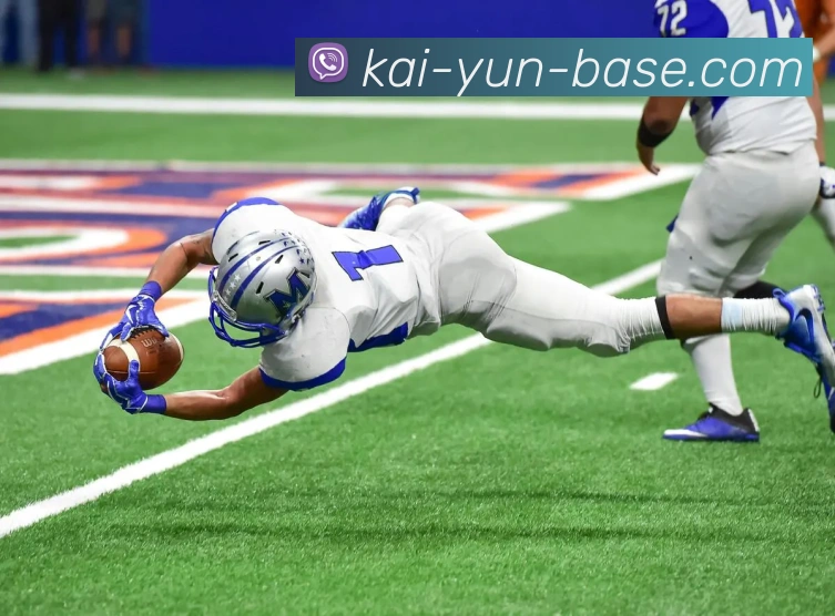 开云平台展示图